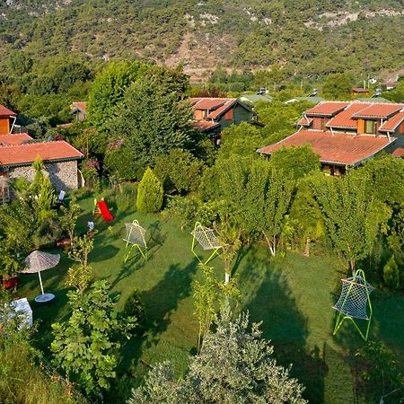 Flora Pansiyon Cirali Apartment Kemer Luaran gambar