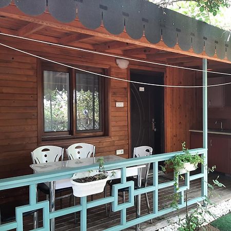 Flora Pansiyon Cirali Apartment Kemer Luaran gambar