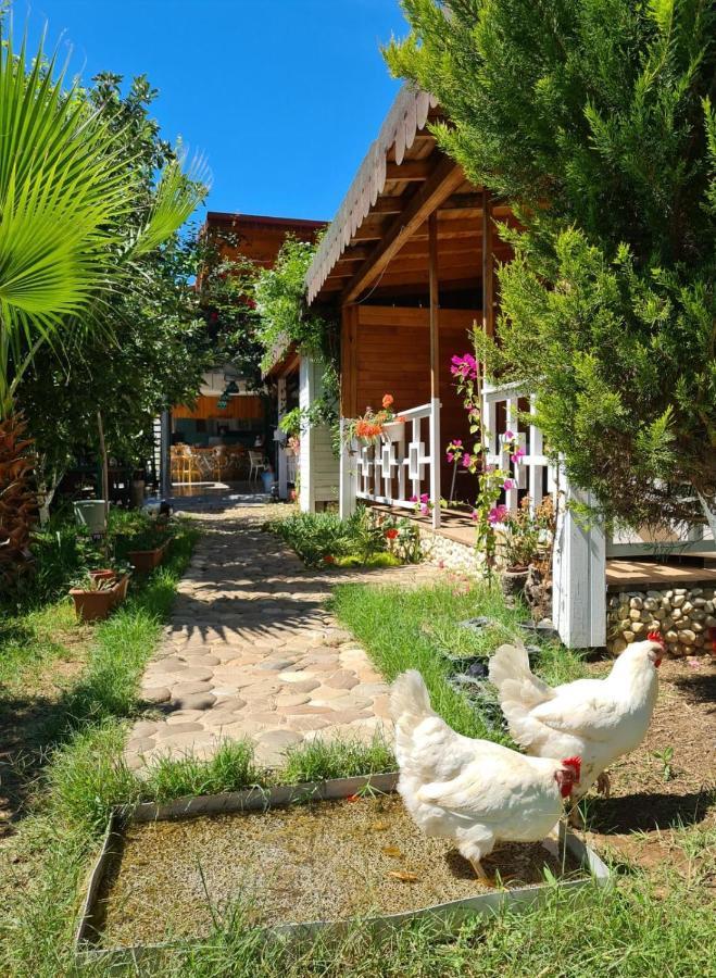 Flora Pansiyon Cirali Apartment Kemer Luaran gambar