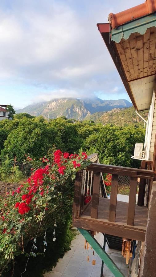 Flora Pansiyon Cirali Apartment Kemer Luaran gambar