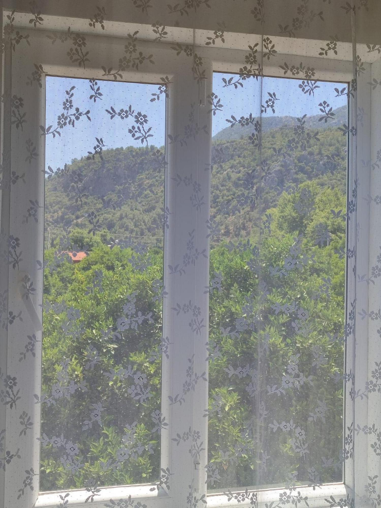 Flora Pansiyon Cirali Apartment Kemer Luaran gambar